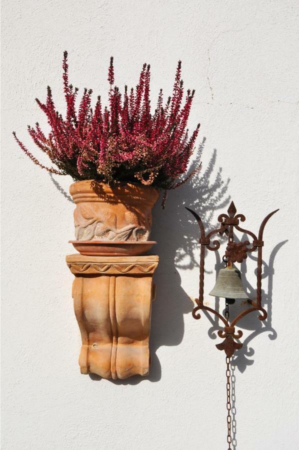 Pepe Guest House Rome Exterior photo